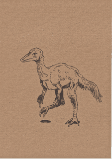 dinosaurs-viii-compsognathus-2025-a5
